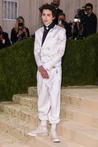 Foto Timothee Chalamet