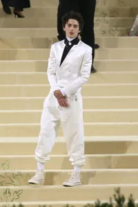 Foto Timothee Chalamet