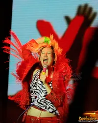 Foto Yeah Yeah Yeahs