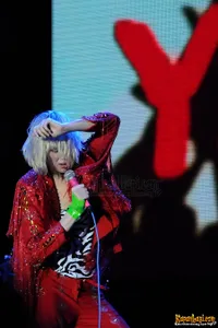 Foto Yeah Yeah Yeahs