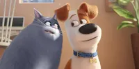 10 Rekomendasi Film Bertema Kucing dan Anjing yang Bikin Gemas Sepanjang Film