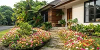10 Tanaman Berakar Dangkal yang Aman untuk Halaman Rumah, Pilihan Tepat untuk Bangunan