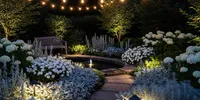 11 Tanaman Moon Garden Pilihan untuk Taman Malam yang Cantik dan Harum