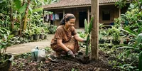 12 Cara Menanam Pohon Buah Naga agar Cepat Berbuah, Hasil Lebat dan Manis
