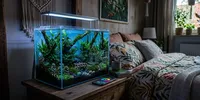 12 Ide Aquarium Mini di Kamar Tidur untuk Suasana Rileks dan Estetis