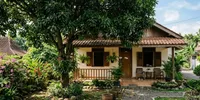 12 Tanaman yang Membuat Rumah Lebih Dingin, Peneduh Alami Sekaligus Bikin Hunian Nyaman