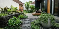15 Tanaman Berdaun Kecil yang Cocok untuk Taman Minimalis, Bikin Hunian Makin Asri