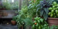 15 Tanaman Sayur yang Cepat Panen, Ramah Pemula dan Cocok untuk Lahan Sempit