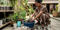 16 Tanaman yang Bisa Ditanam dari Sisa Dapur, Mudah Dicoba di Rumah