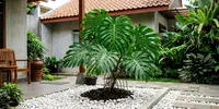 16 Tanaman yang Cocok Dipadukan dengan Batu Koral di Taman, Bikin Rumah Makin Asri