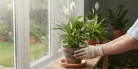 4 Cara Merawat Tanaman Hias Setelah Berbunga agar Kembali Subur