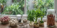 6 Bahan Dapur yang Sebaiknya Tidak Disimpan dengan Cara Biasa Saat Musim Hujan