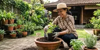 6 Cara Menanam Daun Mint agar Tidak Cepat Memenuhi Satu Pot, Jangan Asal Biarkan Menjalar