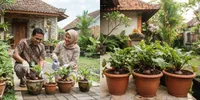 7 Cara Menanam Bit di Pot untuk Pemula, Tidak Rugi untuk Obati Banyak Penyakit