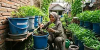7 Cara Menanam Kangkung dalam Ember agar Cepat Tumbuh dan Subur, Cocok untuk Lahan Sempit