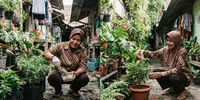 7 Kesalahan Memberi Pupuk Pada Tanaman yang Sering Dilakukan Pemula di Rumah