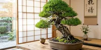 7 Tanaman Hias yang Cocok Ditanam di Pot Dangkal untuk Percantik Ruanganmu