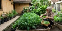8 Tips Menanam Sawi Jepang Mizuna untuk Panen Daun Muda, Rahasia Berkebun Sayur Anti Gagal untuk Pemula