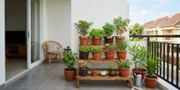 9 Cara Memilih Pot untuk Kebun Sayur Mini di Teras, Bikin Tanaman Tumbuh Subur