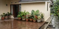9 Cara Menata Pot Tanaman agar Air Hujan Tidak Menggenang di Teras, Tetap Rapi saat Hujan