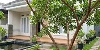 9 Pohon Buah yang Lebih Jarang Didatangi Kelelawar, Cocok Ditanam di Pekarangan Rumah