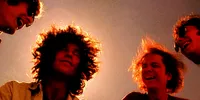 'THE DOORS'