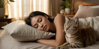 Arti dari Mimpi Kucing: Tafsir Menurut Psikologi, Spiritual, dan Primbon