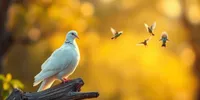 Arti Mimpi Burung: Makna dan Tafsir Lengkap dalam Berbagai Konteks