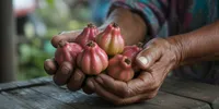 Arti Mimpi Makan Buah Jambu Air Manis dan Tafsir Lengkapnya dari Psikologi hingga Primbon Jawa