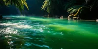 Arti Mimpi Melihat Air Sungai Berwarna Hijau: Tafsir Lengkap dan Makna Spiritualnya