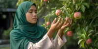 Arti Mimpi Memetik Buah Jambu Air Menurut Islam: Tafsir Lengkap, Makna Spiritual, dan Cara Menyikapinya