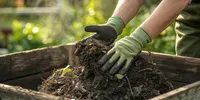 Cara Membuat Pupuk Kompos dari Daun, Panduan Lengkap Ubah Daun Kering Jadi Humus Subur