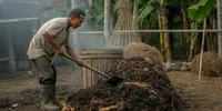 Cara Membuat Pupuk Kandang dari Kotoran Ternak agar Cepat Matang dan Aman untuk Tanaman