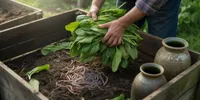 Cara Membuat Pupuk Hijau dari Daun, Panduan Lengkap Fermentasi hingga Kompos Alami