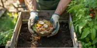 Cara Membuat Pupuk Kompos Sendiri di Rumah: Panduan Lengkap dari Sampah Dapur hingga Panen