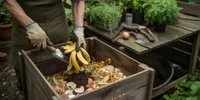 Cara Membuat Pupuk NPK Alami dari Bahan Dapur dan Tanaman, Murah serta Ramah Lingkungan