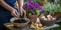 Cara Membuat Tanaman Cepat Berbunga dengan Bahan Dapur yang Mudah dan Terbukti Ampuh