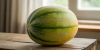 Cara Memilih Melon Hijau yang Manis