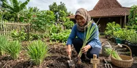 Cara Menanam Serai di Pekarangan, Mudah untuk Pemula
