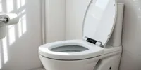 Cara Menggunakan Toilet Otomatis dengan Benar untuk Pemula hingga Pengguna Lanjutan