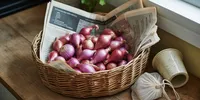 Cara Menyimpan Bawang Merah agar Awet dan Tidak Cepat Busuk hingga Berbulan-bulan