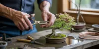 Cara Merawat Bonsai untuk Pemula: Panduan Lengkap agar Tanaman Tumbuh Sehat dan Indah