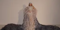 Daftar Selebriti yang Paling Banyak Dibicarakan di Media Sosial Saat Hadir Met Gala 2026