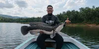 Dari Hobi Jadi Peluang! Tomy Prasetio Sukses Bangun Personal Branding Lewat Konten Mancing yang Autentik