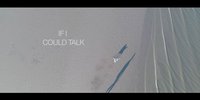 'If I Could Talk', Video Singkat Seekor Anjing Yang Menyentuh