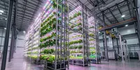 Kebun Vertikal 18 Meter, Solusi Berkebun di Tengah Keterbatasan Lahan Perkotaan