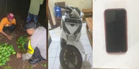 Kronologi Maling Curi 80 Kg Alpukat di Lampung, Kabur Panik Tinggalkan Motor dan HP!