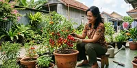 Menanam Tomat dalam Pot, Ini 10 Langkah agar Tumbuh Subur dan Berbuah Lebat
