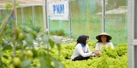 PNM Layani 23,3 Juta Nasabah, Dampak Pemberdayaan Perempuan Prasejahtera Kian Terasa