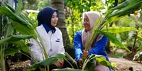 PNM Layani 23,3 Juta Nasabah, Dampak Pemberdayaan Perempuan Prasejahtera Kian Terasa
